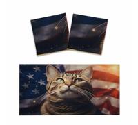 Lot de 2 cache-lampes fluorescentes pour plafonniers Motif chat Drapeau | Décoration de plafond magnétique pour salle de ureau, maison, 1,2 x 0,6 m