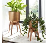Lot de 2 cache-pot ronds 31 et 25 cm en aluminium doré et manguier