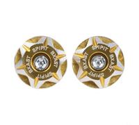 Lot de 2 cache-vis de plaque d'immatriculation de moto pour trous de vis de 6 mm, matériau en alliage d'aluminium avec processus CNC et anodisé pour une utilisation durable (doré)