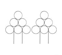 Lot de 2 cadres d'escalade en fer forgé pour plantes ornementales et pratiques dans n'importe quel jardin