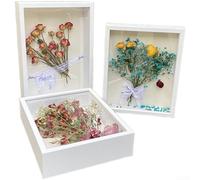 Lot de 2 cadres photo creux 3D faits à la main en MDF avec couvercle en verre organique pour arrangements floraux séchés Montage spécimen de papillon (B blanc)