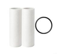 Lot de 2 cartouches filtrantes de rechange avec bague d'étanchéité compatibles avec système d'adoucisseur Grünbeck Fs 1 pour plomberie domestique Blanc et noir Matériau PP Kit d'installation facile