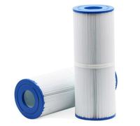 Lot de 2 cartouches filtrantes de rechange pour spa et piscine PRB25-IN compatibles avec Pleatco PRB25-IN Darlly 42513 Europe SC704