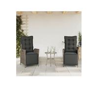 Vidaxl Chaises Inclinables De Jardin Lot De 2 Et Repose-Pied Rotin
