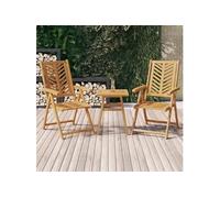 vidaXL Lot de 2 chaises de jardin inclinables – Accoudoirs, Dossier, Cadre en acacia massif
