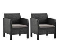 Lot de 2 Chaises de Jardin avec Coussins Sièges PP Rotin Anthracite vidaXL