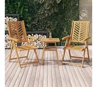 vidaXL Lot de 2 chaises de jardin inclinables – Accoudoirs, Dossier, Cadre en acacia massif