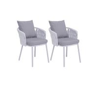 Lot de 2 chaises de salle à manger en aluminium HWC-P89 gris clair