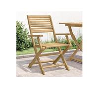 vidaXL Lot de 2 chaises pliantes de jardin 365737 – Bois massif, avec dossier, moderne