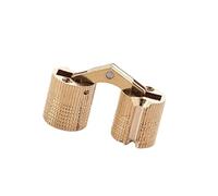 Lot de 2 charnières cylindriques dissimulées en laiton pour bijoux, souvenirs, boîte d'armoire, porte d'armoire, quincaillerie de porte de meubles cachés pour petit placard