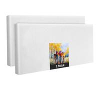 Lot de 2 châssis en polyester blanc de 20 x 50 cm, à peindre, prêt à l'emploi, convient pour les peintures acryliques ou textiles, fournitures de projet de bricolage pour peintres et artistes