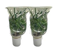 Lot de 2 chiffons antigel pour plantes d'extérieur | Pare-soleil avec cordon de serrage | 100,1 x 120,1 cm pour plantes en hiver - pour arbustes, arbustes, rosiers, légumes, cours, pelouse, fruits