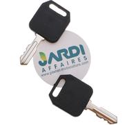 Jardiaffaires Lot de 2 clés de Contact Universelle Adaptable pour autoportée AYP
