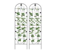 Lot de 2 clôtures de jardin en métal - 50 x 180 cm - Support pour plantes - Pour jardins, arrière-cours, cafés à thème de jardin