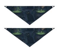 Lot de 2 colliers pour chien avec motif sorcières et chats noirs - Bonne respirabilité - Pour extérieur - 63,5 cm, 2,5 x 22,9 cm, 20,3 cm