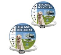 Lot de 2 colliers pour chiens de petite, moyenne et grande taille, taille unique