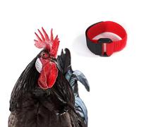 Lot de 2 colliers réglables en nylon pour poules, silencieux, drôles, sans bruit