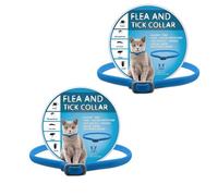 Lot de 2 colliers réglables pour chat, collier imperméable durable pour chatons et chats adultes, collier doux et léger pour chat à porter au quotidien, taille unique