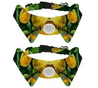 Lot de 2 colliers réglables pour chien avec nœud papillon, aquarelle, jaune citrons avec feuilles, collier détachable pour chiot et chat de petite taille