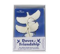 Lot de 2 colombes en résine Durable pour Vous et Un ami
