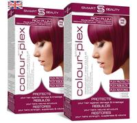 Lot de 2 colorations permanentes pour cheveux, avec anti-casse Plex, couleur végétalienne, sans expérimentation animale, sans PPD, couverture 100 % des cheveux gris, bleu prune Smart Beauty