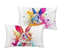 Lot de 2 Coloré Housse Coussin 40x60 cm Impermeable Velours Taie Oreiller Rectangulaire Double Face Imprimé avec Fermeture à Glissière Invisible, Lapin Coussin Décoration pour Canapé, Salon 1B-378