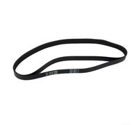 Lot de 2 courroies d'entraînement en caoutchouc de rechange pour nettoyeur de tapis Vax Dual Power Max ECB1TNV1 440005536