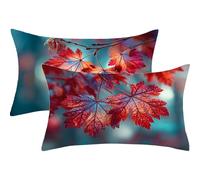 Lot de 2 Coussin Lune Housse Coussin 25x50cm Taie Oreiller Fleur Double Face Imprimé Lin Coussins Decoratif avec Fermeture à Glissière Invisible Canape Taie Oreiller pour Maison Deco Automne,J528