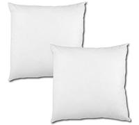 Lot de 2 coussins garnis Bestlivings en polyester non-tissé 70x90 cm blanc, lavables à 30°, plusieurs tailles