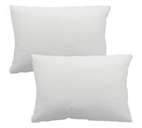 Lot De 2 Coussins Intérieurs En Polyester Haus Und Deko Décoratif Blanc