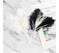 Lot de 2 décorations de gâteau en forme de plume de paon - Décoration de gâteau d'anniversaire - Style vintage années 90 - Pour fête prénatale, fête d'anniversaire, mariage