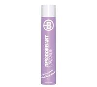 Lot de 2 - Désodorisant Bruneau lavande - Aérosol 750 ml - Aérosols & sprays désodorisants - Bruneau