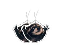 Lot de 2 désodorisants avec motif Pedro raton laveur, Pedro Arbre parfumé pour voiture, désodorisant de voiture, diffuseur de parfum amusant pour voiture
