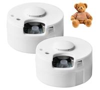 Lot de 2 dictaphones pour animaux en peluche, 60 secondes, enregistreur vocal, mini dictaphone, jouet pour peluches, jouets pour poupée, coussin