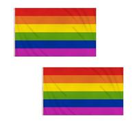 Lot de 2 drapeaux arc-en-ciel Pride 1,5 x 0,9 m avec œillets en laiton en polyester pour défilés du mois de la fierté, événements d'égalité, décoration de maison et de jardin