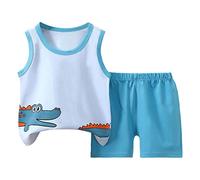 Lot De 2 Ensemble Bebe Garçon Fille à Manches Courtes avec Short pour Garçon Dinosaure Confortable Casual Jogging Sport Plage Vacances Confortable et Léger Été Usage Quotidien (J, 6-12 Months)