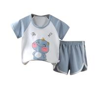 Lot De 2 Ensemble Enfant Garcon Fille Tee Shirt Manche Courte et Short Garçon Mignon Dinosaure Dessin Animé Fashion Plage Respirant Classique Sport Vacances Été Usage Quotidien (Grey, 12-18 Months)