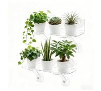 Lot de 2 étagères à ventouse en acrylique pour fenêtre - 30,5 x 12,7 cm pour verre - Robuste et transparent - Suspension pour herbes aromatiques d'intérieur - Installation sans outil (0270-2)