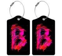 Lot de 2 étiquettes de bagage initiales pour valise, lettres artistiques uniques en cuir, étiquettes d'identification avec boucle en acier durable pour femmes, hommes, enfants, filles, voyage, lettre