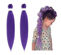 Lot de 2 Extensions Capillaires Synthétiques Tressées Violettes, Longueur 61-76 cm Pré-étirée - Pour Cosplay, Déguisement Halloween, Fête et Scène