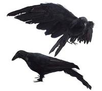 Lot de 2 Faux Corbeaux 33 x 14 cm décoration réaliste avec Ailes Amovibles pour effrayer Les Corbeaux Morts décorations d'halloween Noirs