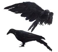 Lot de 2 Faux Corbeaux 33x14 cm décoration réaliste avec Ailes Amovibles pour effrayer Les Corbeaux Morts décorations d'halloween Noirs