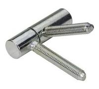 Lot de 2 fiches à visser HETTICH, acier zingué, H.55 x l.15 mm Zingué G