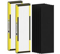 Lot de 2 filtres de rechange FLT4825 HEPA B compatibles avec AC4825 AC4300 AC4800 AC4900 AC4850, 2 véritables filtres HEPA et 6 pré-filtres à charbon actif