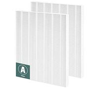 Lot de 2 filtres HEPA de rechange 115115 Taille 21 compatibles avec purificateur d'air Winix PlasmaWave C535 5300 5300-2 5500 5500-2 6300 6300-2 P300 AM90 9000 5000 5000B CC 909 909 800 par Funmit