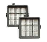 Lot de 2 filtres HEPA lavables de rechange pour Electrolux VC-T3515E T55 T53 T51 & VC-T3311E, maille robuste et coton pour personnes allergiques et animaux domestiques