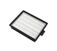 Lot de 2 filtres plissés post-moteur pour aspirateur Rainbow Rexair R7292 R12107B