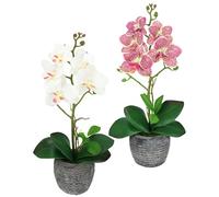 Lot de 2 Fleurs artificielles Papillon orchidée avec Feuilles et Racines aériennes dans Un Pot - Fleurs artificielles - Phalaenopsis - Décoration de Mariage - Fleur en Soie - Toucher réel - Rose et