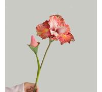 Lot de 2 fleurs d'iris artificielles en soie au toucher réaliste, pour décoration de mariage, maison, table (orange)