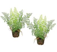 Lot de 2 fougères forestières artificielles en Pot 24 cm Boston Fougère Plante en Pot Fougère Buissons Fougère Plantes Fleurs comme de véritables Plantes en Soie Décoration Plante Verte Plante